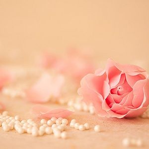 Meet your Posher, Eva